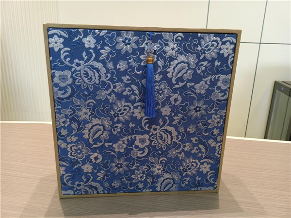 ɽ���������